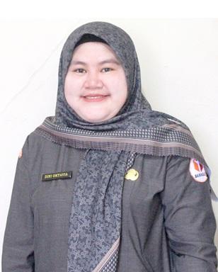 DINI